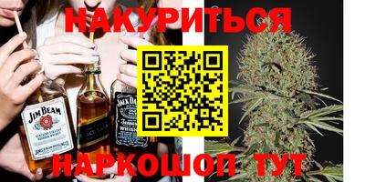 мдпв Кингисепп