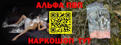 мдпв Кингисепп